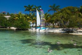 hobie cats on beach on Placencai, Belize – Best Places In The World To Retire – International Living